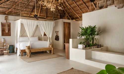 Jungle Suite Upper